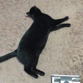 そこは退いてくださいの画像