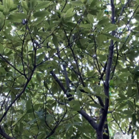 ✌️✌️いい曲✌️⤴️懐かしいの画像