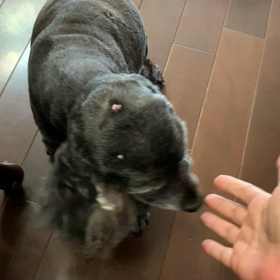 今週も無事 ... 終わり ...の画像