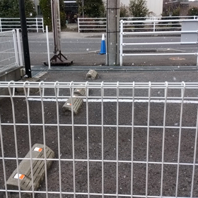 今日も雪〜の画像