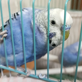 ちずちゃんの声に反応する子供たち。の画像