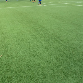 3年生　トレーニングの画像