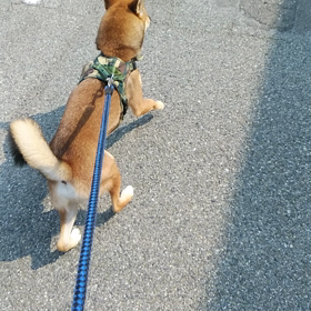 お泊まり　ジンくんの画像