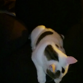 エアリーうるるの画像