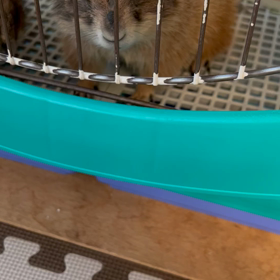 頭のいい男の画像