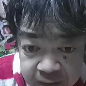 Z2テストの画像