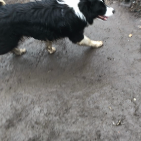 お問い合わせ 男の子の画像