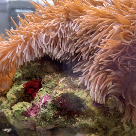 我が家の縮図の画像