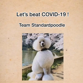 コロナをやっつけろ！！の画像