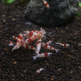 ・久々の更新★の画像