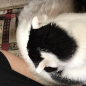 さりげなく？阻止！の画像