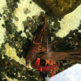 この記事の画像