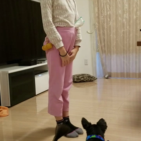 モッチ　英語がんばるの画像