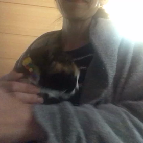 ぬいぐるみ？ふーちゃんの画像