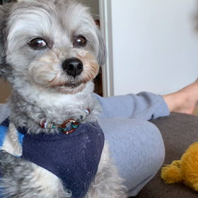 うっとりむぎの画像