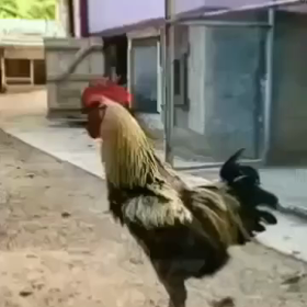 今日の出来事❗️の画像