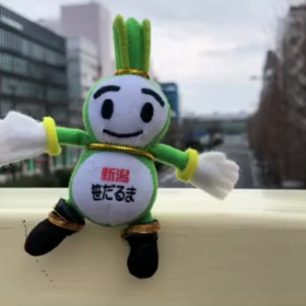2/23の画像