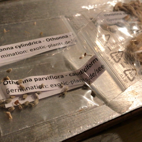 ブルガリアの画像