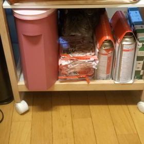 ねぇーってばぁーの画像