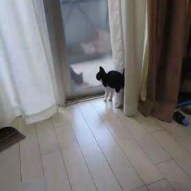 早いもんだの画像