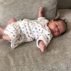 今年は。の画像