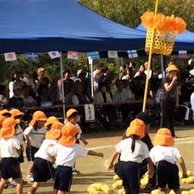 静かな日曜日の画像