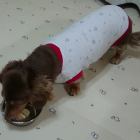 れもん、ケーキの食べ方の画像