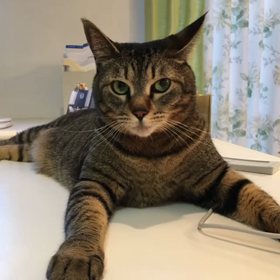 ◆暇すぎての画像