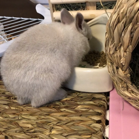 もぐもぐの画像