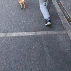 かわいいの連呼。の画像