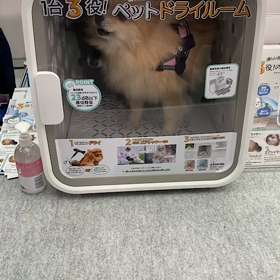 目玉商品の画像