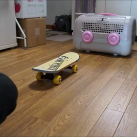 リサちゃんのスケボー動画の画像