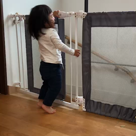 さくらの逆襲の画像