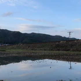 宮のカーブの画像