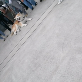 リーダーSeiji君の下、第三日曜日なので朝８時集合で未来丸と高松海岸の清掃活動に行ってきましたの画像