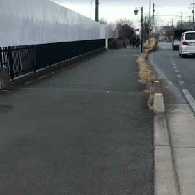 男子ロード練習④の画像