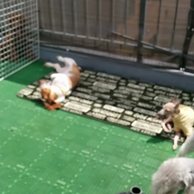 今日も暑いです。。の画像