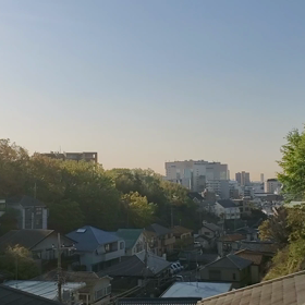 毎年この時期の画像