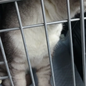 雨(  ；∀；)の画像