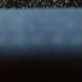 Bugってハニーの画像