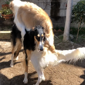 ルーク10ヶ月の出来事の画像