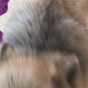 バトル⚔️の画像