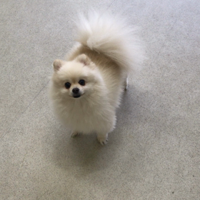 ♪プレイルーム動画♪③の画像