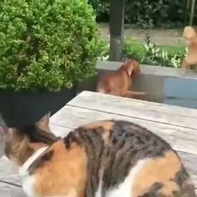 誰が一番悪いのですか？の画像