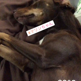 台風25号コンレイ通過中！海人KGOLD石垣島の画像