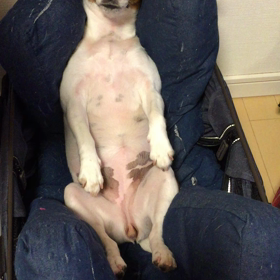 今日のココのん動画の画像