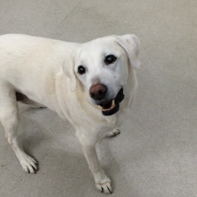 ♪プレイルーム動画♪の画像