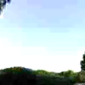 奇跡の動画：カブ子旅の画像