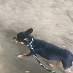 ♪お散歩動画♪代々木公園♪の画像