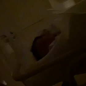 初孫誕生感涙〜初抱っこ延期〜誕生パーティー妄想の画像